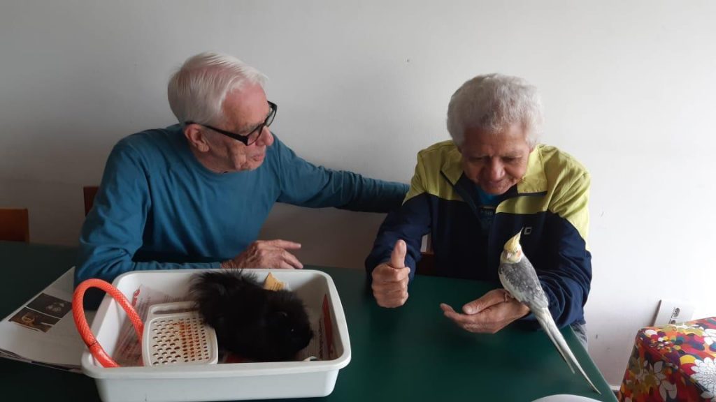 Um idoso tem um pássaro na mão enquanto outro observa. Há também um coelho preto dentro de uma caixa.